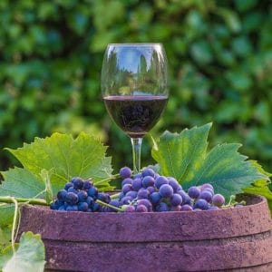 Wines