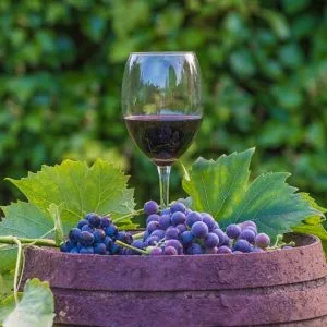 Wines